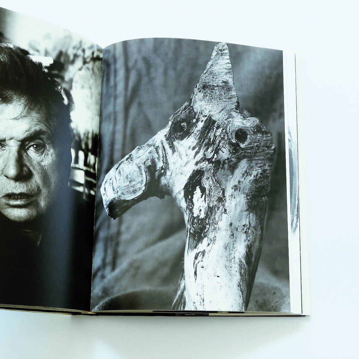 David Bailey：光と影の住人たち | Book Ernest