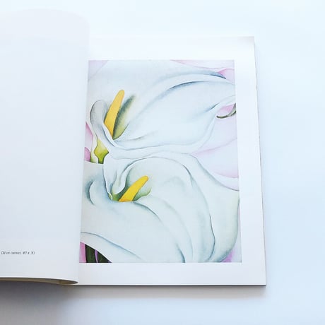 Georgia O′Keeffe: Painting