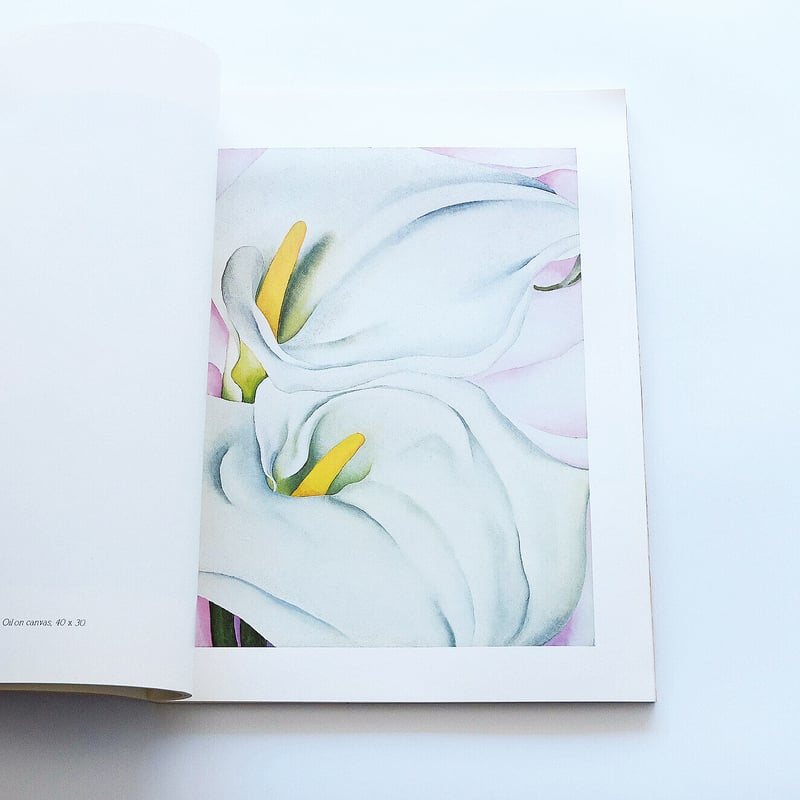 Georgia O′Keeffe: Painting | Book Ernest Georgia O′Keeffe: Painting | Book Ernest