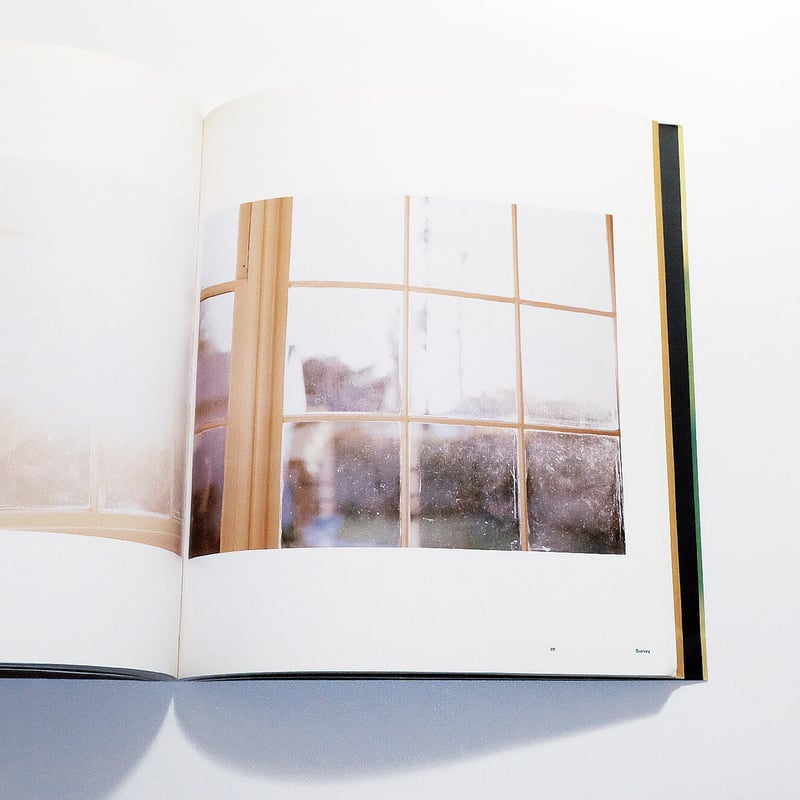 Uta Barth: Contemporary Artists Series | Book E