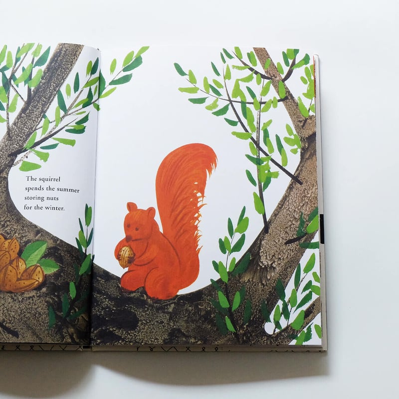 Bruno Munari′s Zoo | Book Ernest