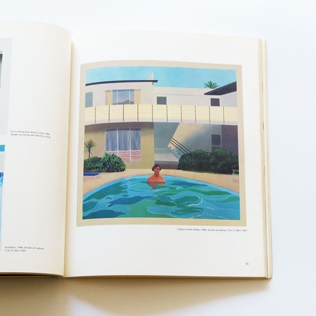 Pictures by David Hockney