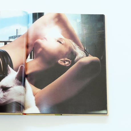 The Impossible Image