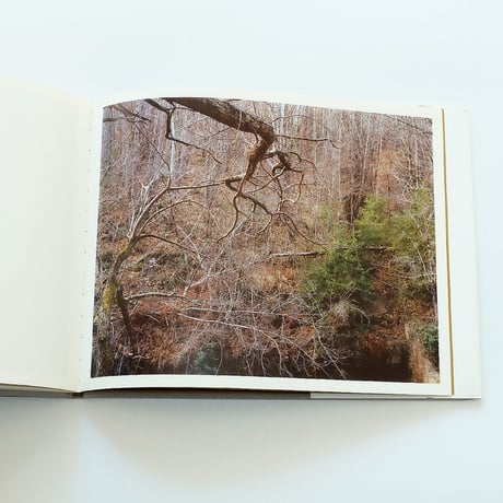 Yvette Monahan: The Time of Dreaming the World Awake