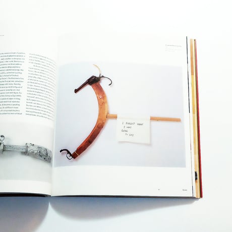 Jimmie Durham: Phaidon Contemporary Artists Series
