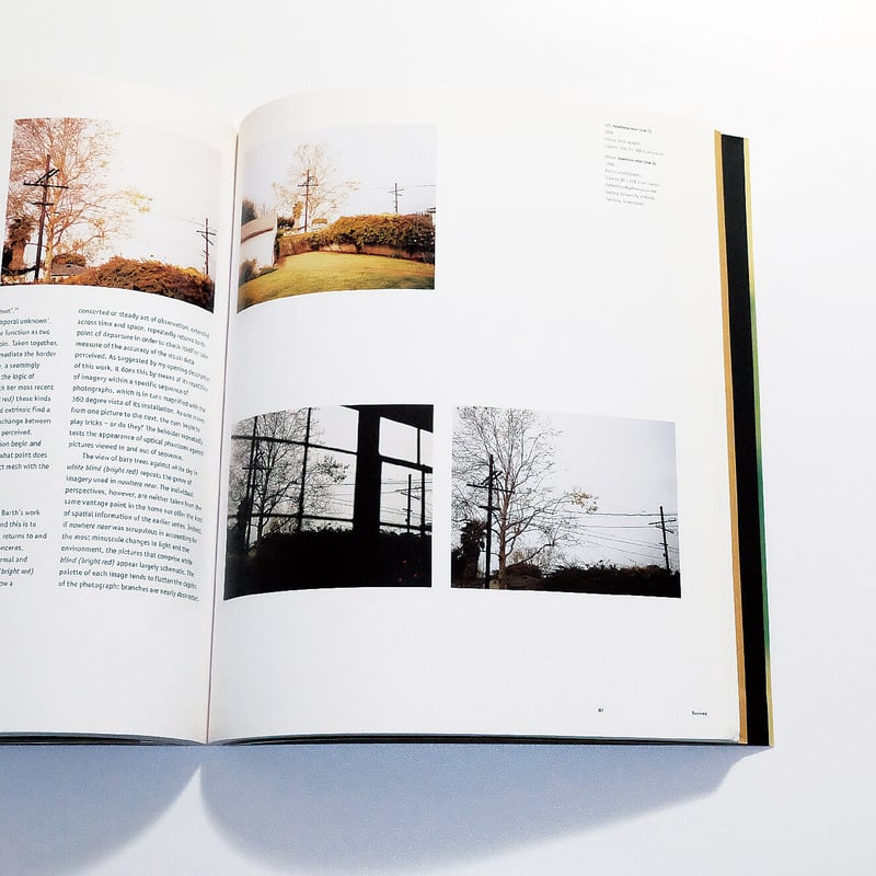 Uta Barth: Contemporary Artists Series | Book E