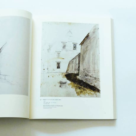 Andrew Wyeth: Emotion and Creation