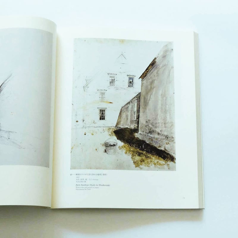Andrew Wyeth: Emotion and Creation | Book Ernest