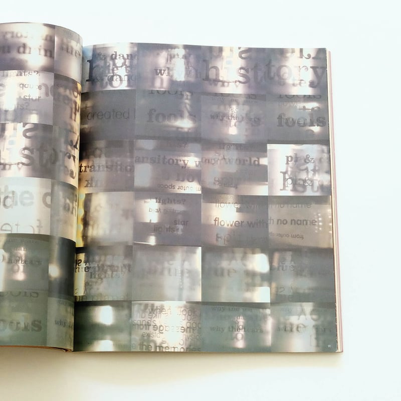 Process; A Tomato Project | Book Ernest