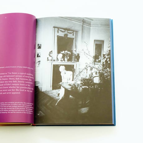 Edie Factory Girl