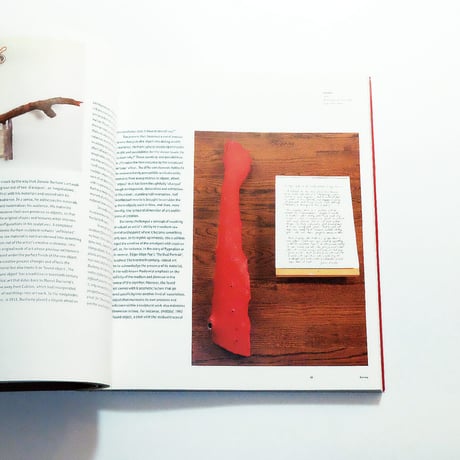 Jimmie Durham: Phaidon Contemporary Artists Series