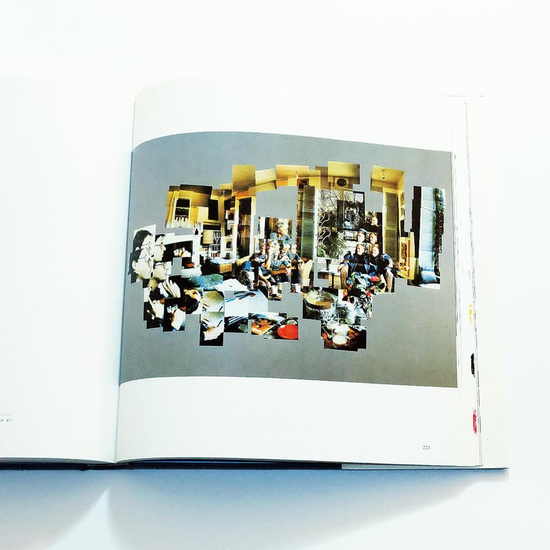David Hockney: A Retrospective / ひとつの回顧 | Book