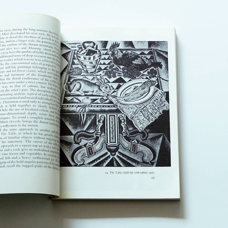 Rosa Maria Malet ジョアン・ミロ 洋書 Rosa Maria Malet