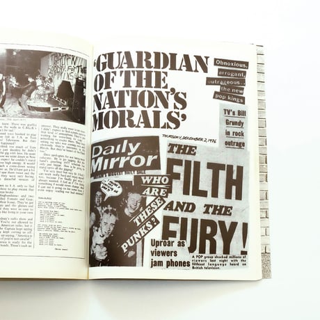 1988 The New Wave Punk Rock Explosion