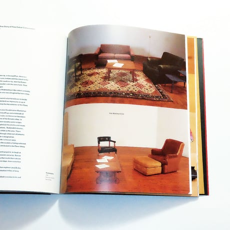 Jimmie Durham: Phaidon Contemporary Artists Series