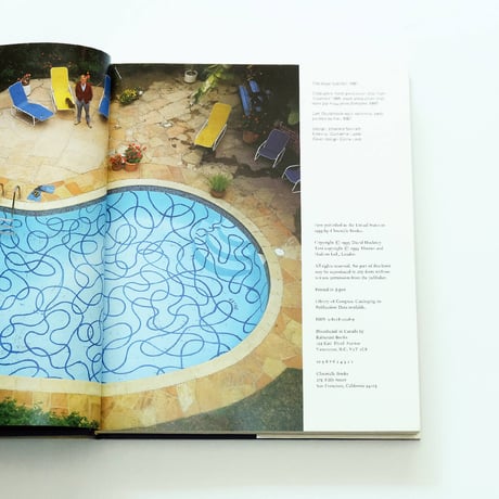 David Hockney: That's the Way I See It