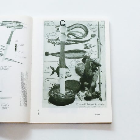 Field Essays #4: Éloj Kréyol