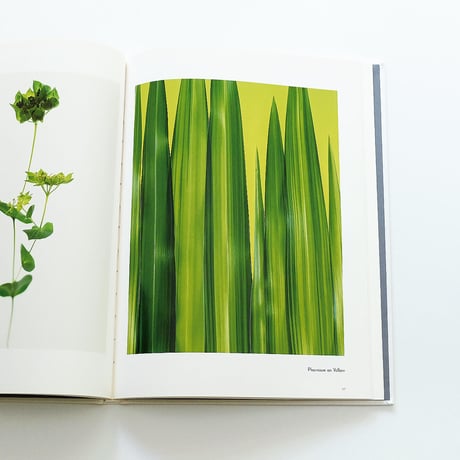 Fleur Olby: Plant Portraits