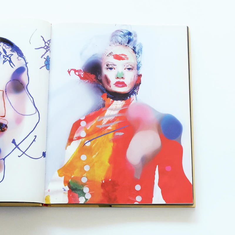 The Impossible Image | Book Ernest