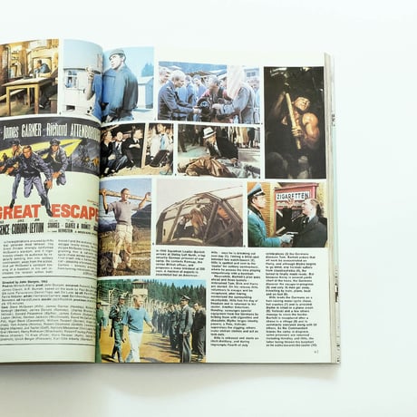Movies of the Sixties by Ann Lloyd