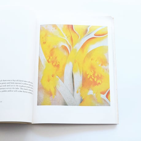 Georgia O′Keeffe: Painting