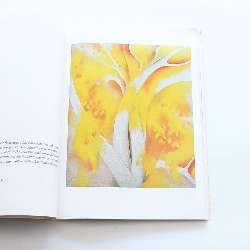 Georgia O′Keeffe: Painting | Book Ernest