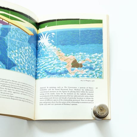 David Hockney by Marco Livingstone