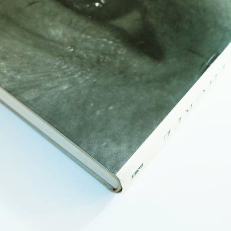 Robert Mapplethorpe: Mapplethorpe