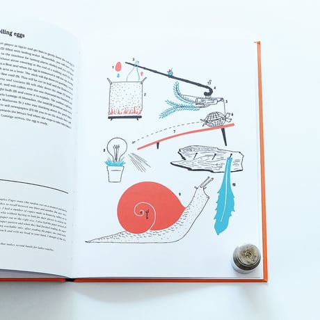 Le Macchine Di Munari / Munari's Machines