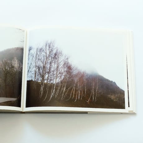Yvette Monahan: The Time of Dreaming the World Awake