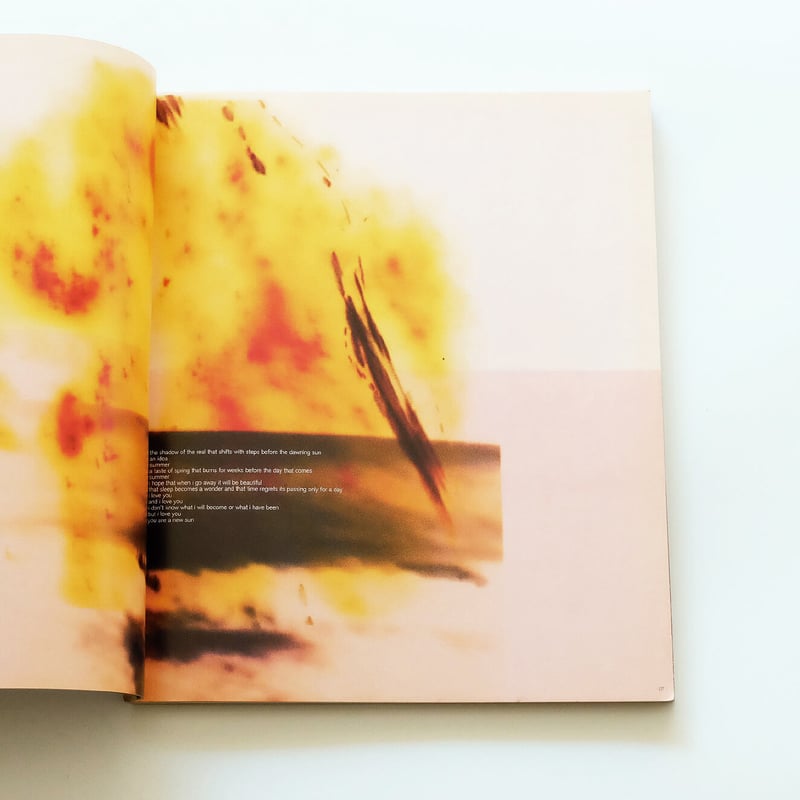 Process; A Tomato Project | Book Ernest