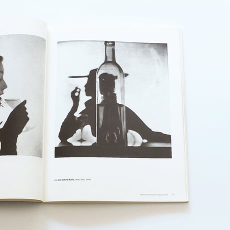 Irving Penn: Master Images