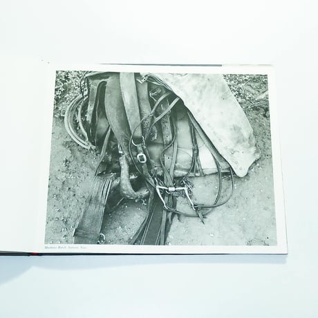 After Barbed Wire: Cowboys of Our Time