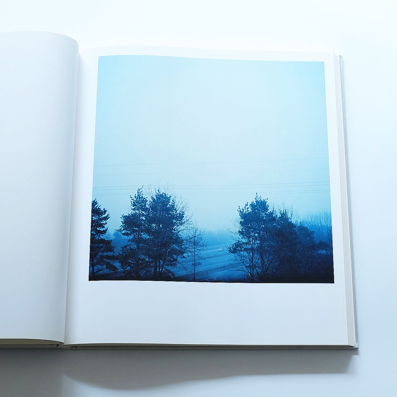 澁谷征司：Birth | Book Ernest
