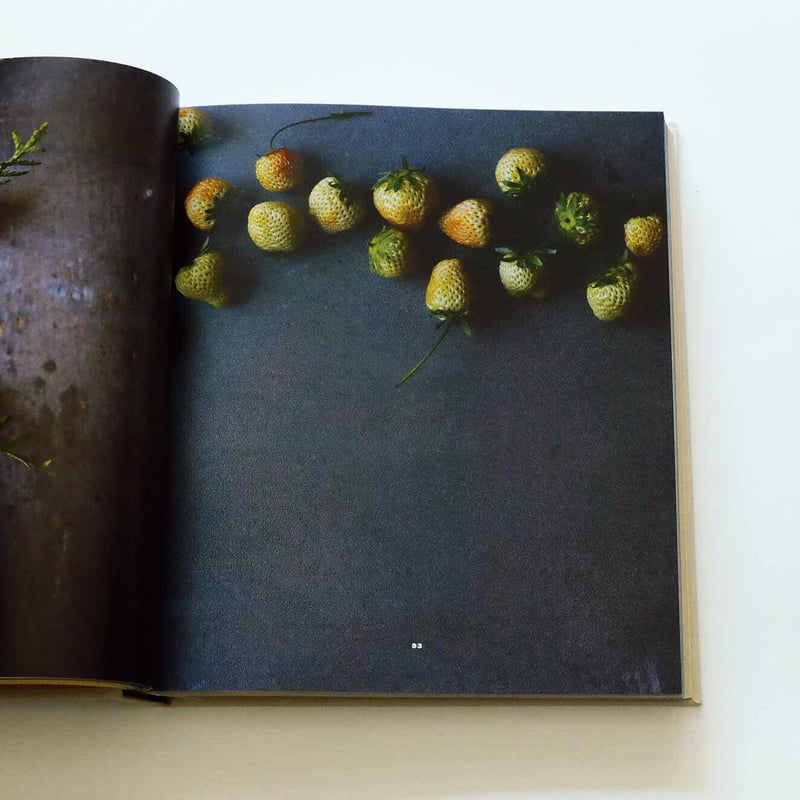 Noma: Time and Place in Nordic Cuisine | Book E