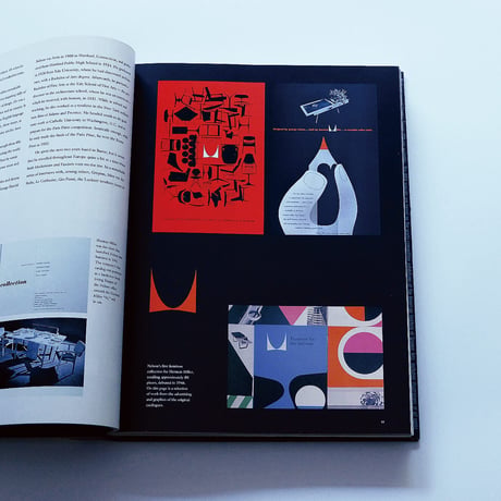 AIGA: Graphic Design USA 13
