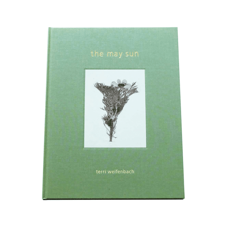 Terri Weifenbach: The may sun