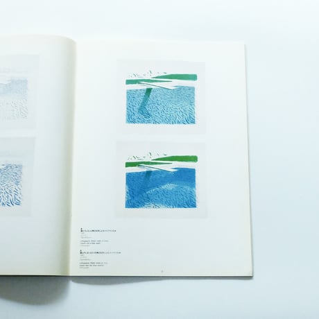 The Prints of David Hockney