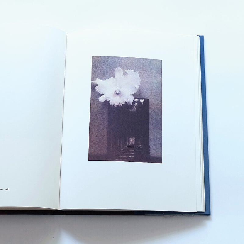 シーラ・メッツナー写真集『Color』Sheila Metzner シーラ・メッツナー写真集『Color』Sheila Metzner - メルカリ