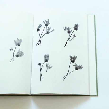 Terri Weifenbach: The may sun