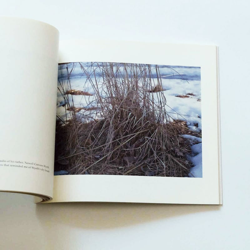 James Welling: Wyeth | Book Ernest