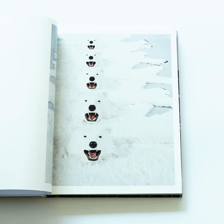 Paola Pivi: Perrotin