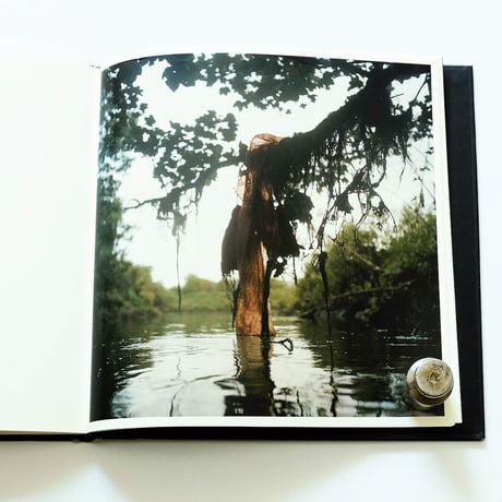 Stephen Gill: Talking to Ants
