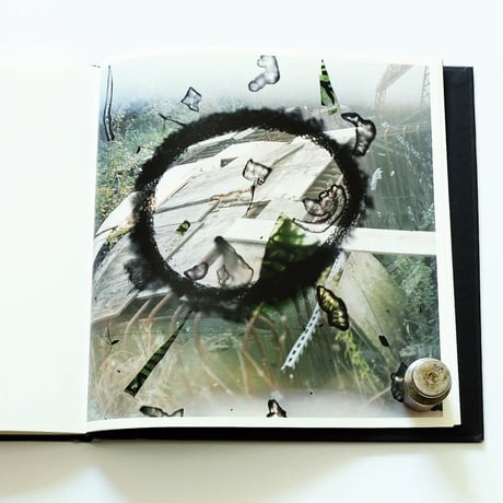 Stephen Gill: Talking to Ants