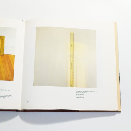 The Paintings of Sylvia Plimack Mangold