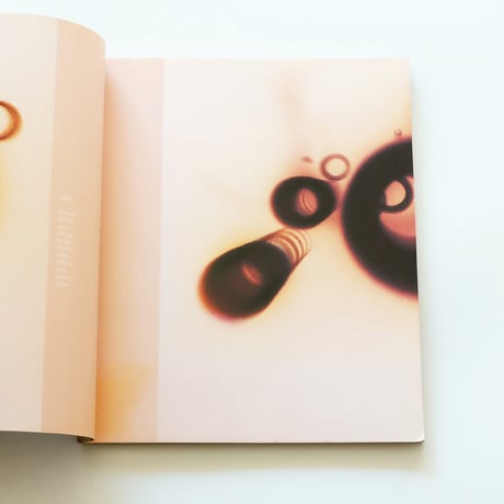 Process; A Tomato Project