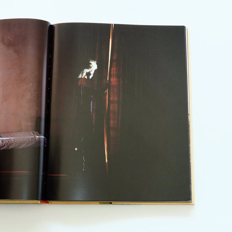 PHAIDON the impossible image 英語 PHAIDON the impossible image 英語 PHAIDON the impossible