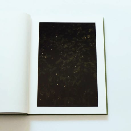 Terri Weifenbach: The may sun