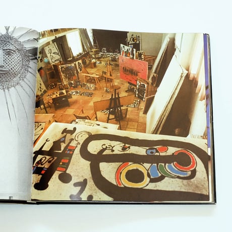 Miro: Noranta Anys