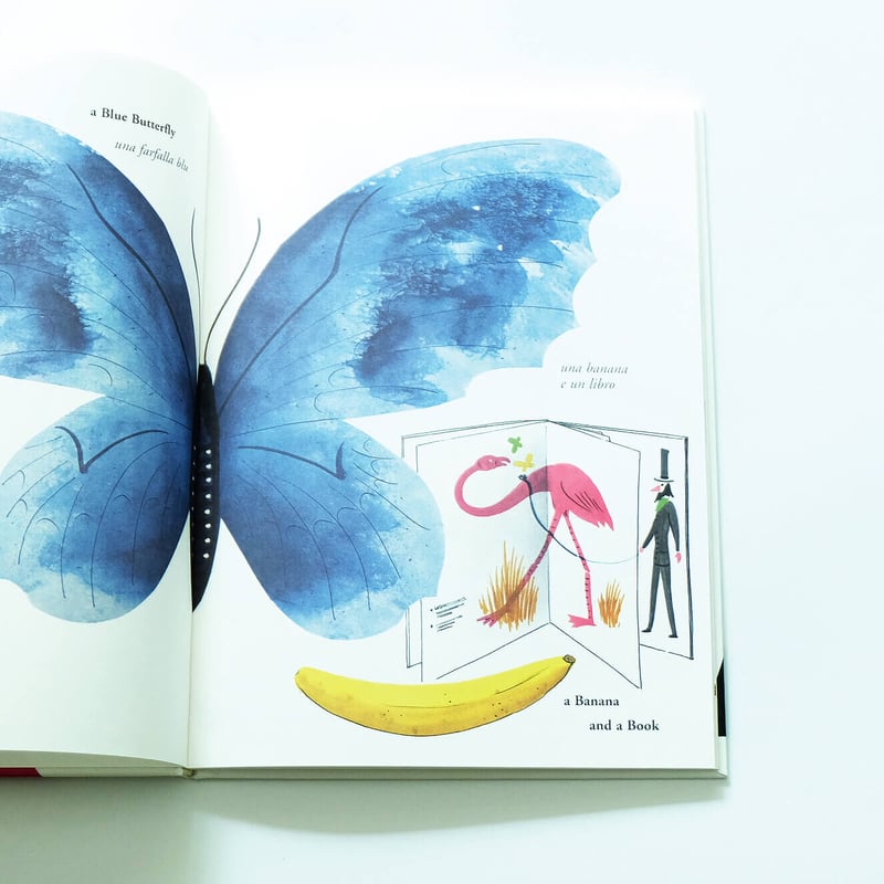 Bruno Munari′s ABC | Book Ernest